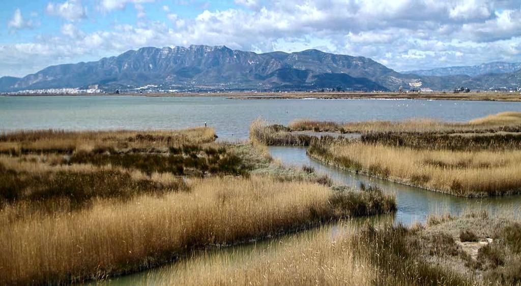 Mi Apartamento En El Delta Del Ebro Deltebre Eksteriør billede