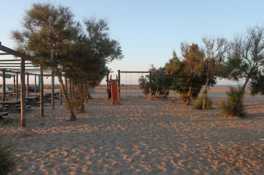 Mi Apartamento En El Delta Del Ebro Deltebre Eksteriør billede