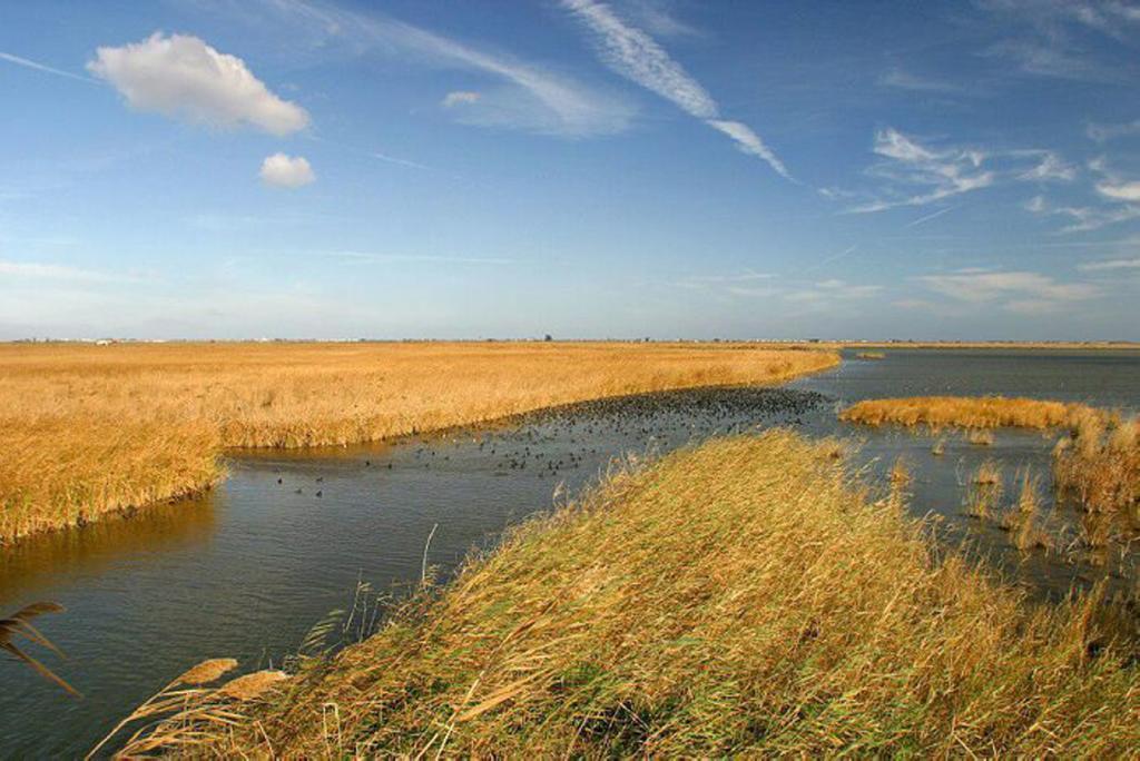 Mi Apartamento En El Delta Del Ebro Deltebre Eksteriør billede