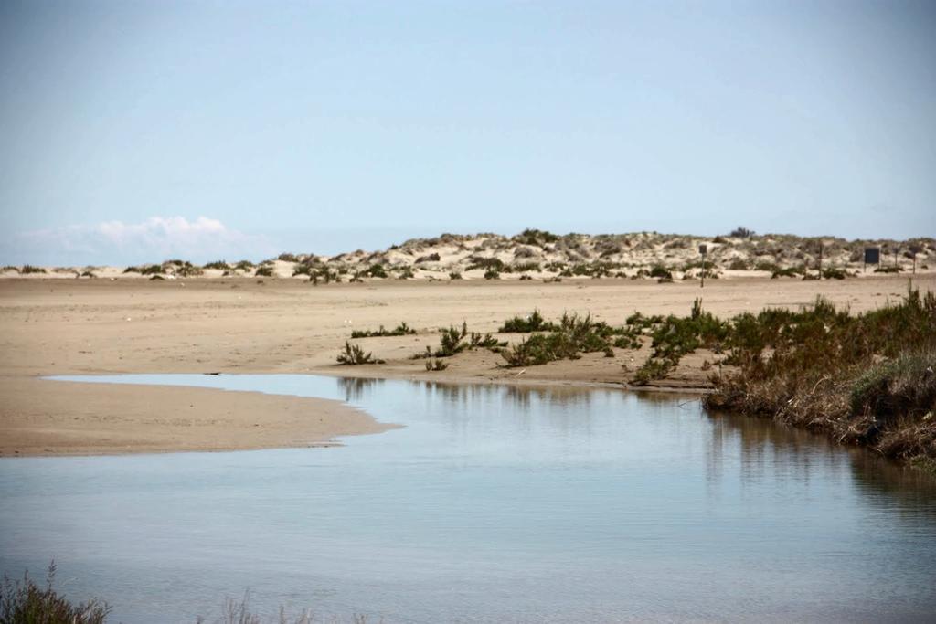 Mi Apartamento En El Delta Del Ebro Deltebre Eksteriør billede