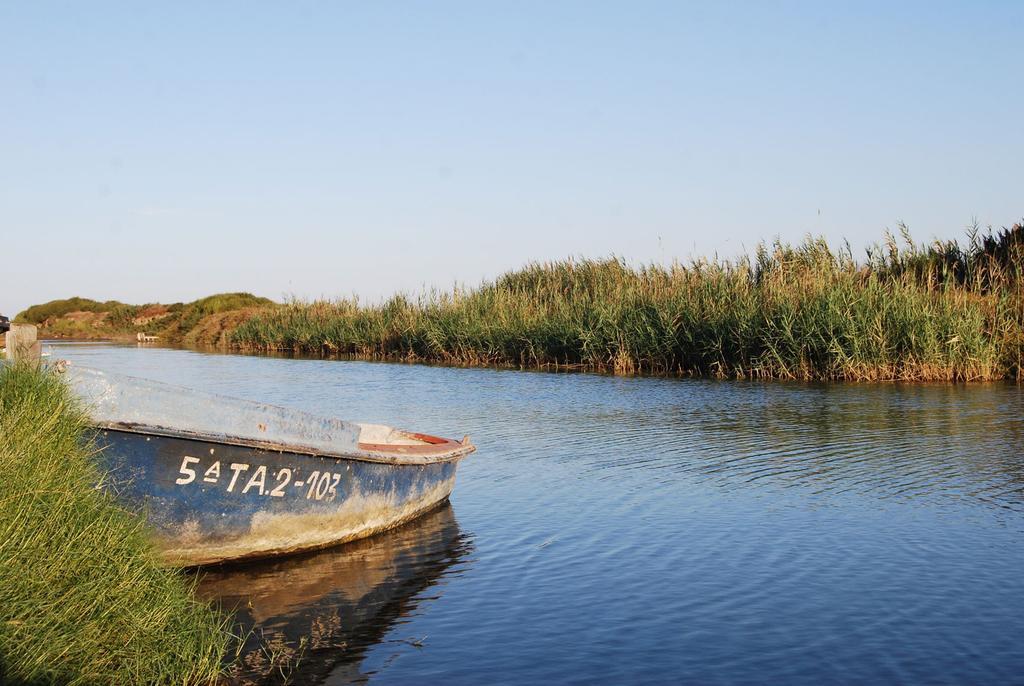 Mi Apartamento En El Delta Del Ebro Deltebre Eksteriør billede