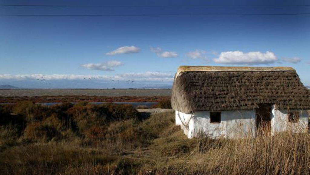 Mi Apartamento En El Delta Del Ebro Deltebre Eksteriør billede