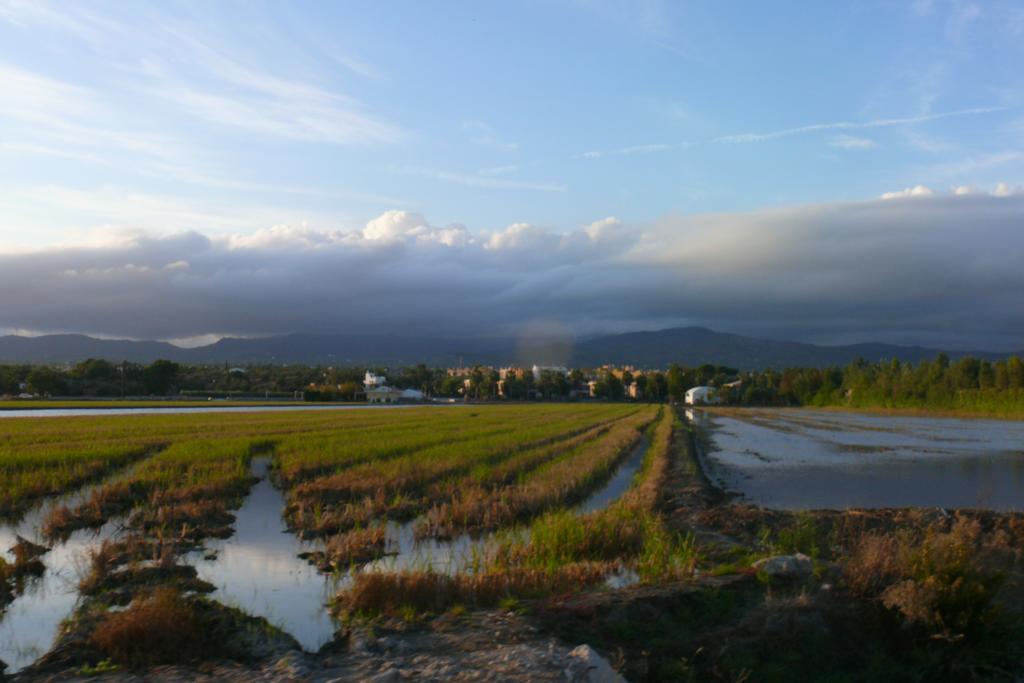 Mi Apartamento En El Delta Del Ebro Deltebre Eksteriør billede